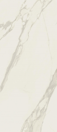 16842299270861-caesarbodenanima120x278silk
