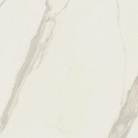 16842299327045-caesarbodenanima120x1201195rt