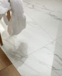 1684229944105-caesarbodenanima60x60lucidato