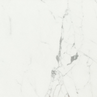 16842299458584-caesarbodenanima60x60lucidato