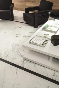 16842299697939-caesarbodenanima30x60lucidato7pz