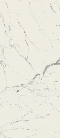 1684229983953-caesarbodenanima120x278lucidato