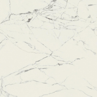 16842299888001-caesarbodenanima120x1201195lucidato