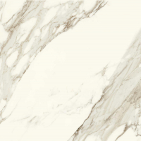 16842300218872-caesarbodenanimaever80x80lucidato