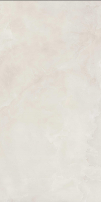 16842300417071-caesarbodenanimaever60x120lucidato