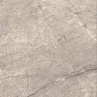 16842301321101-caesarbodenanimafutura60x60lucidatort