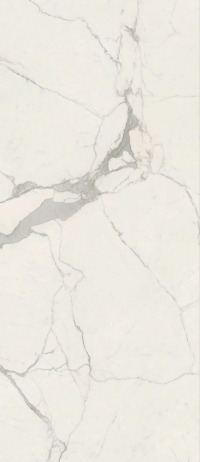 16842301644403-caesarbodenanimafutura120x278lucidatort
