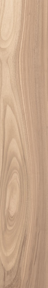 16843152503584-caesarbodenhike20x120mattrtgrip