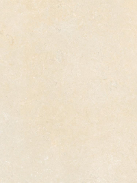 16843164428579-caesarbodenshapesofit40x60mattrt