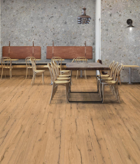 16897619791793-energiekerbodenth2robur30x120