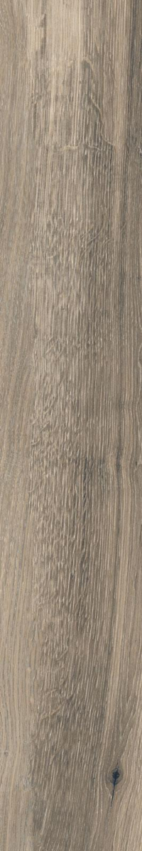 16941795174225-rondinebodentimeless20x120