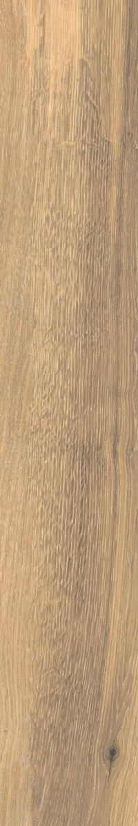 16941795191348-rondinebodentimeless20x120