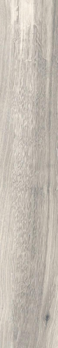 16941795209715-rondinebodentimeless20x120