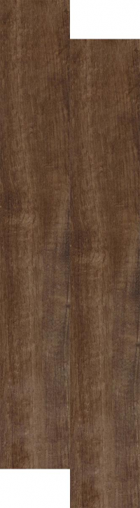 16941806832263-rondinebodentabula15x100