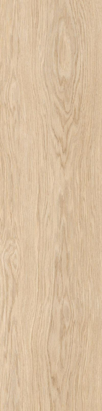 16941809025728-rondinebodendream30x120