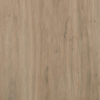 16976443347029-casalgrandebodentavolato60x120marronechiaro