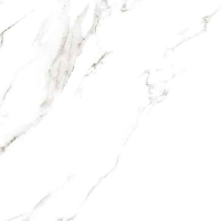 16976451251991-casalgrandebodenmarmoker60x120statuariogrigio