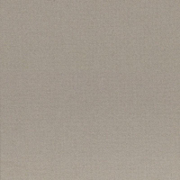 16976454152452-casalgrandebodenearth60x120grigio2