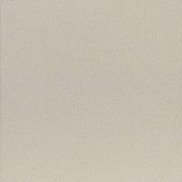 17006653299077-casalgrandebodenearth60x60earthgrigio1