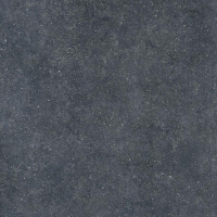 17162813480393-bodencasalgrandekollektionstilegrosze60x120farbeblackrigata