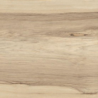 17334772526178-bodenfioranesekollektionsfridogrosze20x120farbefrakebeige